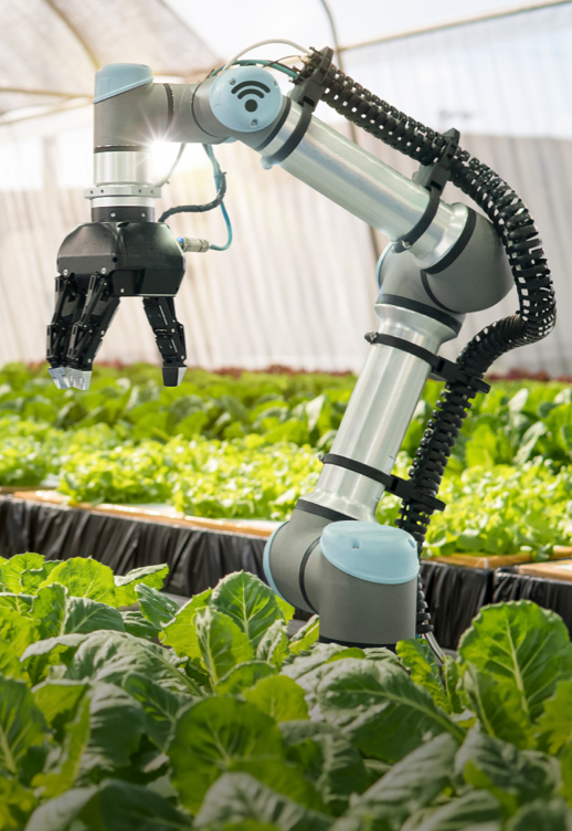 img-AGRI & FOOD TECH AGRI & FOOD TECH